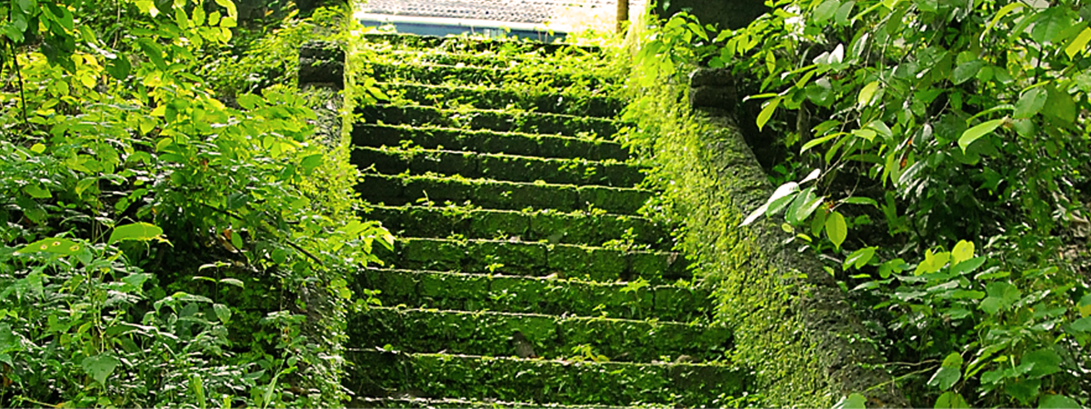 The Ayurvedic Legacy of Itoozhi Ayurveda