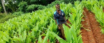 The-Medicianl-Plant-Farming-Project